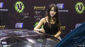 2017无码bt,回顾经典，展望未来