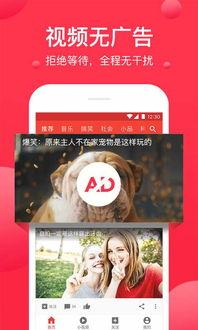 西瓜视频爆料库官网,揭秘热门视频幕后故事，带你走进内容创作世界